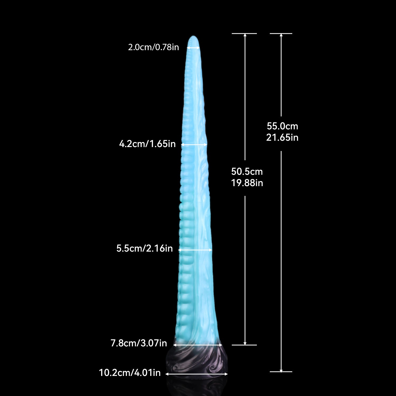 Coilor the Abyssal dildo, Pulse colorway, size and dimension chart